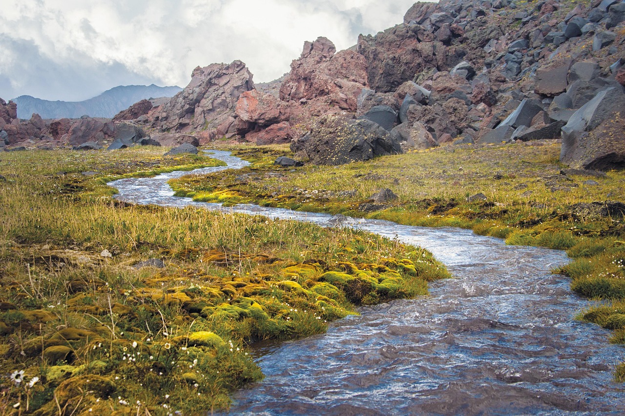 Micro retreats on the bank of the river to rejuvenate - TMM India