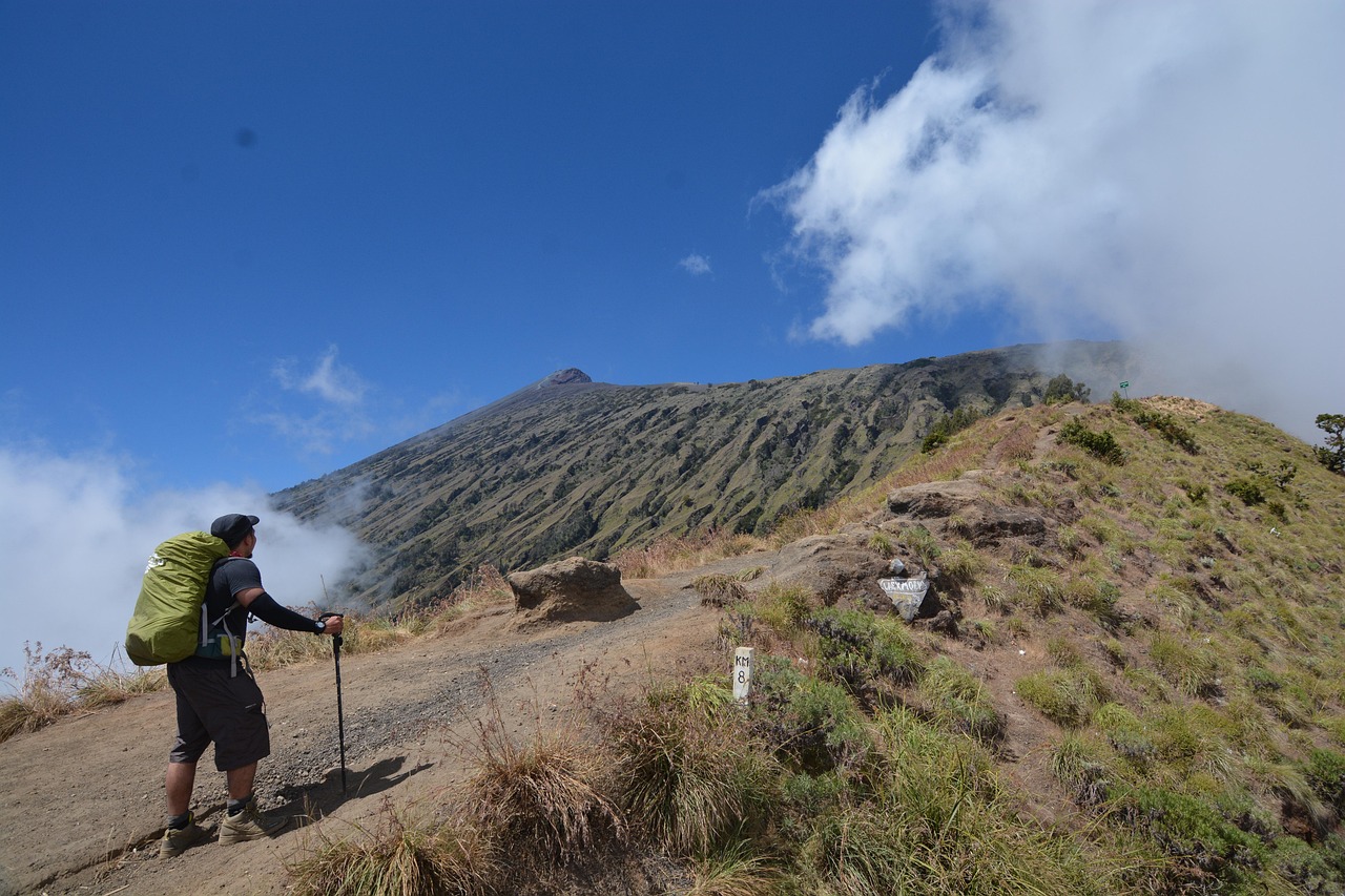 Walkin, trekking, and doing different activities - TMM India