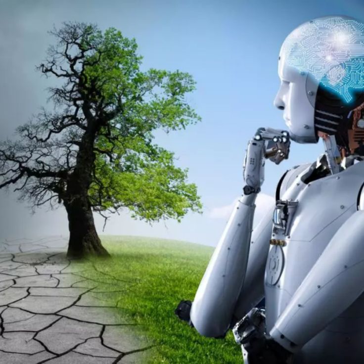AI Effect on the Environment: Innovation or Hidden Cost?
