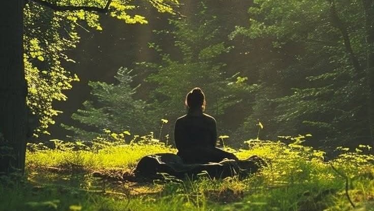Ecotherapy for urban dwellers