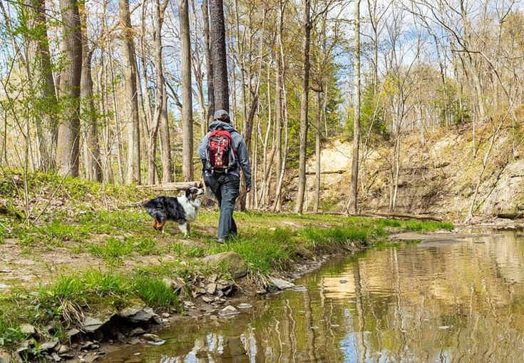 Man walking in forest for ecotheraphy