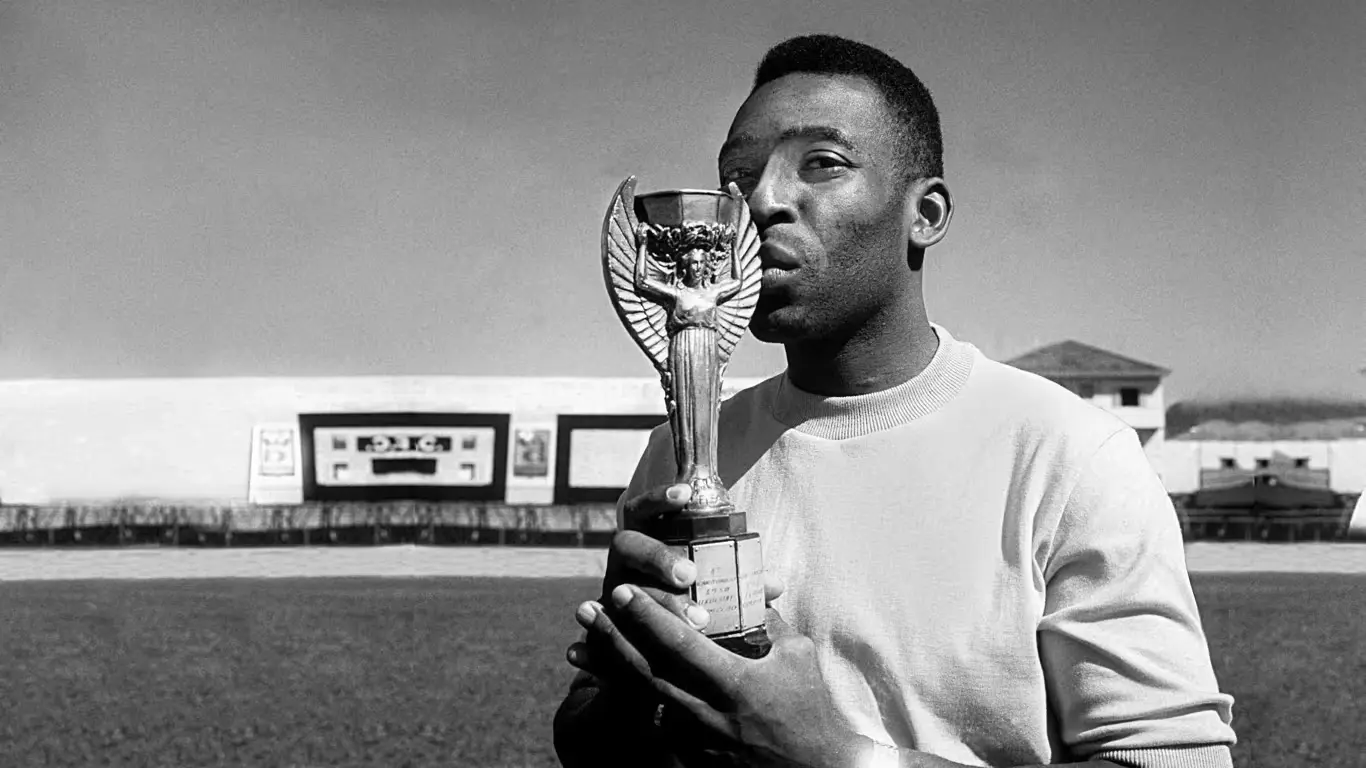 Brazilian pele