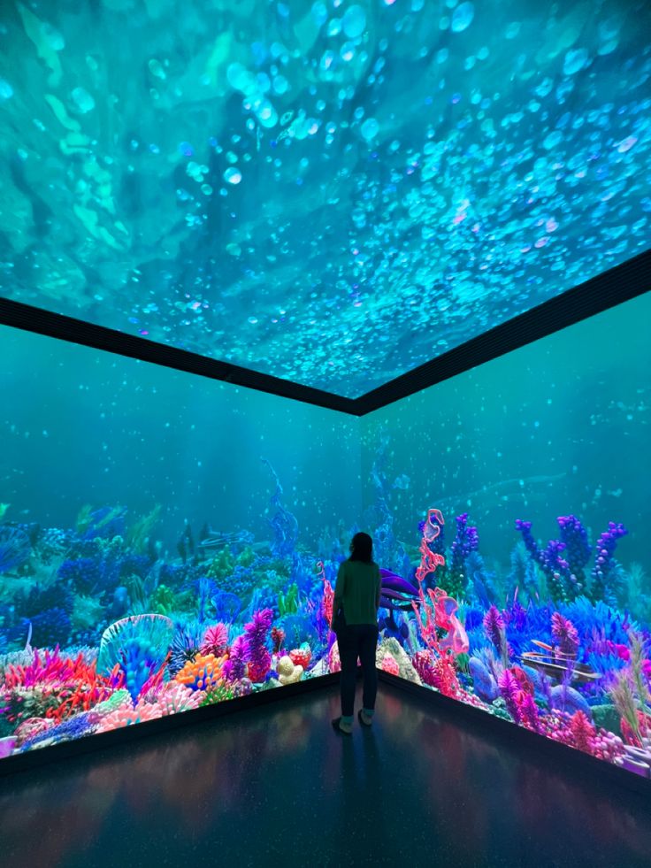aquarium immersive experience