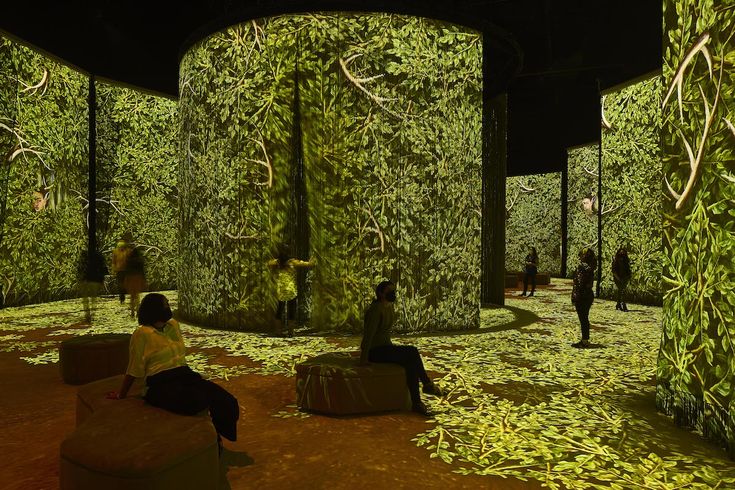 Frida Kahlo immersive art experience