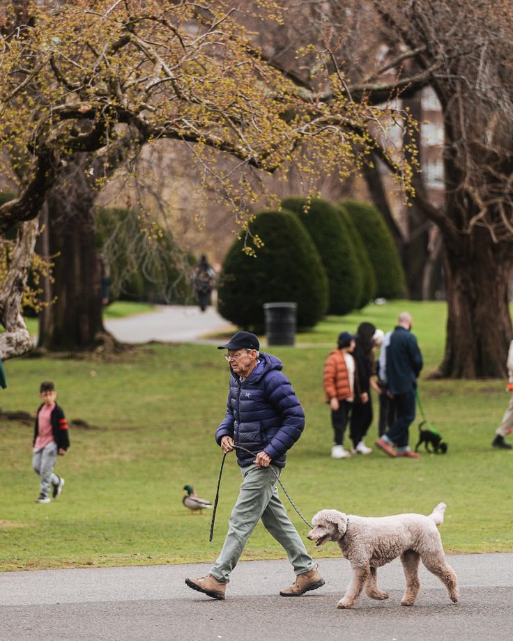 A man walking with his dog in a park.