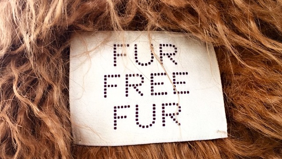 Stella McCartney's cruelty-free fashion