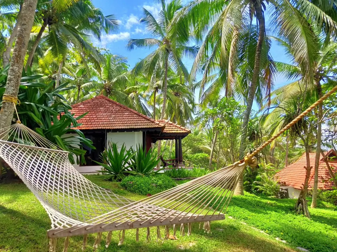 Escape in Style: 5 Luxury Resorts in India That Redefine the Art of Slow Living