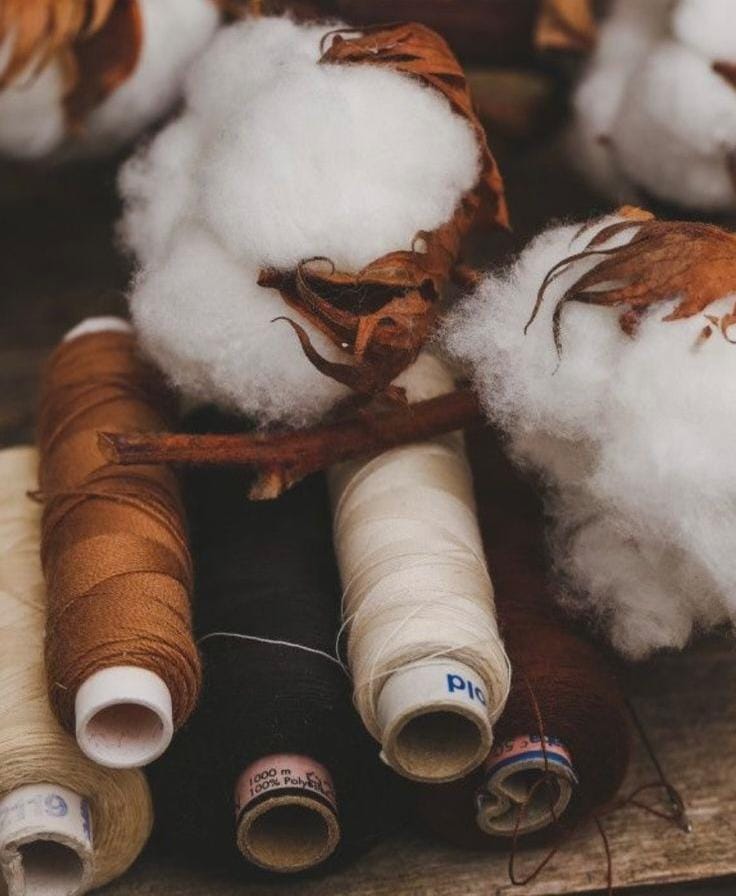 Purpose Over Profit: 5 Trailblazers Redefining Modern Indian Luxury